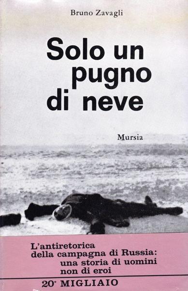 Solo un pugno di neve
