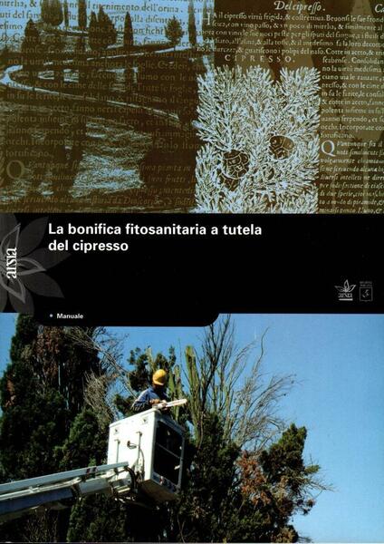 La bonifica fitosanitaria a tutela del cipresso
