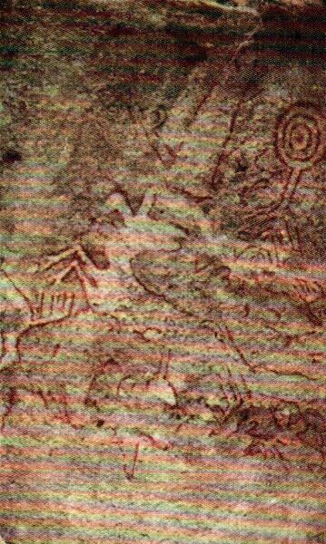 Poesie degli Indios Piaroa