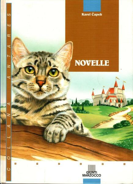 Novelle