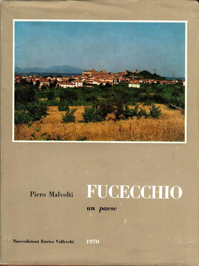 Fucecchio un paese