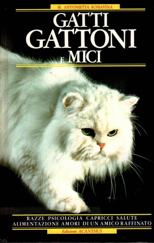 Gatti gattoni e mici