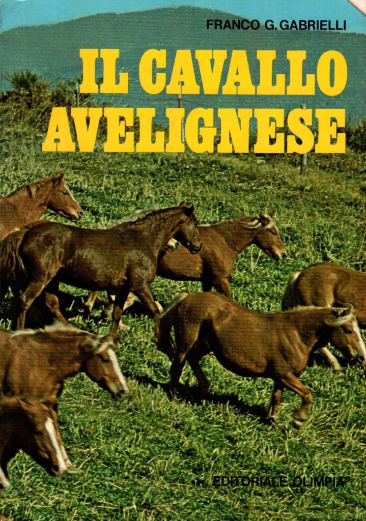 Il cavallo Avelignese