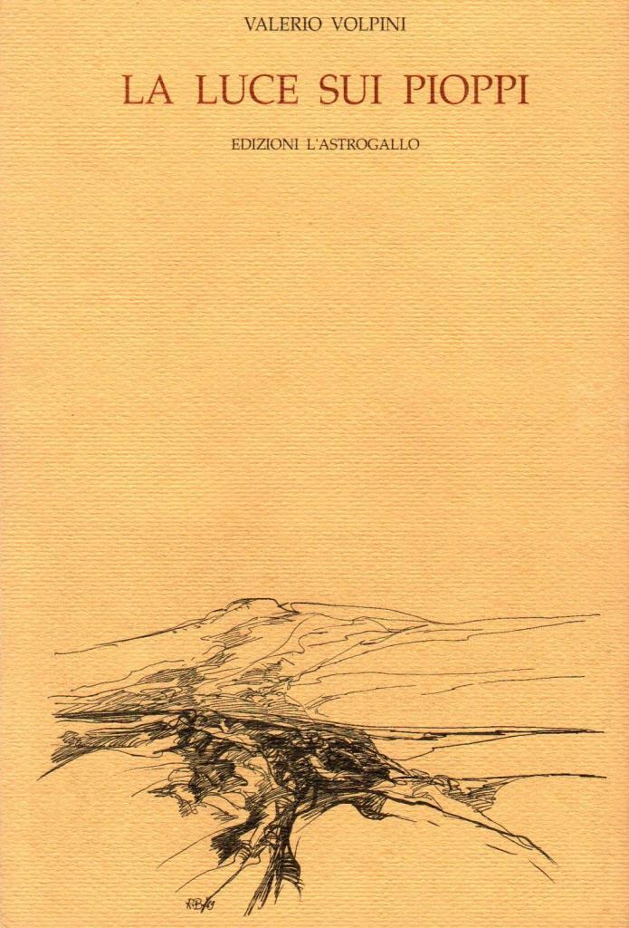 La luce sui pioppi