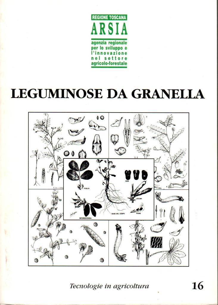 Leguminose da granella