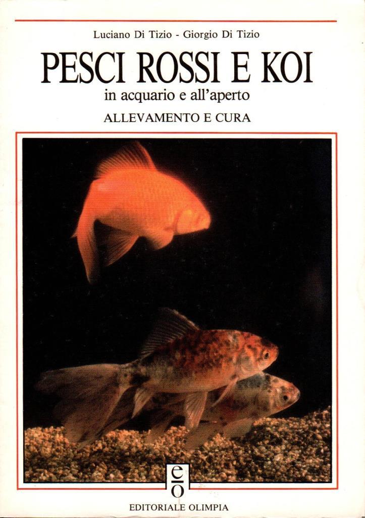 Pesci rossi e Koi