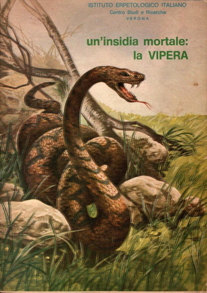 Un'insidia mortale: la Vipera
