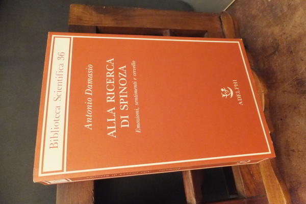 ALLA RICERCA DI SPINOZA