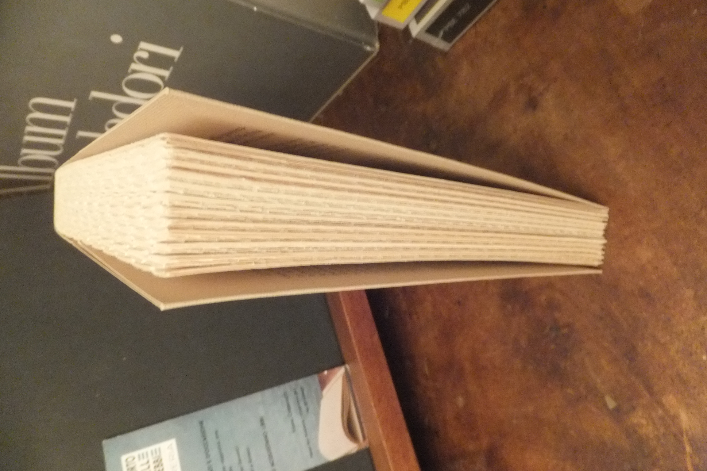 AMINTA TORQUATO TASSO