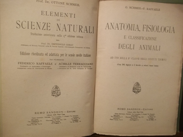 ANATOMIA FISIOLOGIA E CLASSIFICAZIONE DEGLI ANIMALI AD USO DELLA 1° …