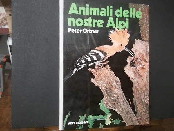ANIMALI DELLE NOSTRE ALPI