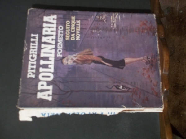 APOLLINARIA POEMETTO SEGUITO DA CINQUE NOVELLE