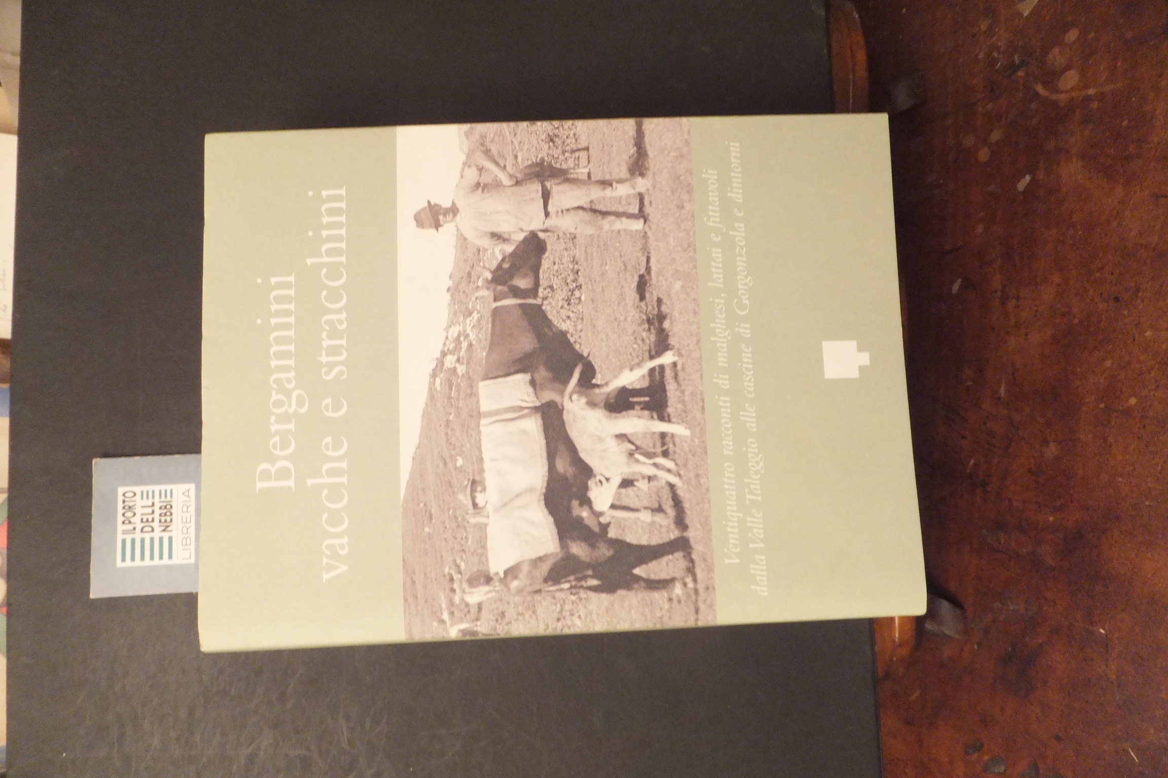 BERGAMINI VACCHE E STRACCHINI VENTIQUATTRO RACCONTI DI MALGHESI