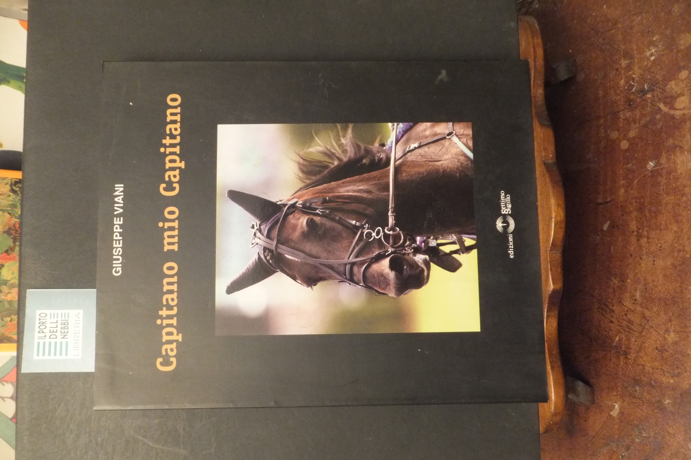CAPITANO MIO CAPITANO GIUSEPPE VIANI DEDICA AUTORE