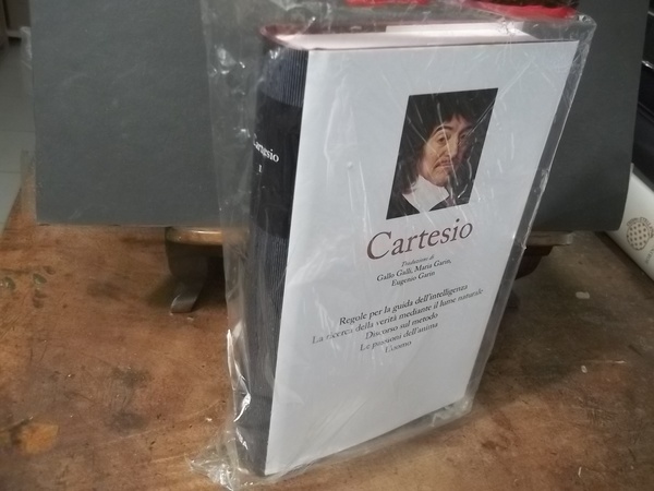 CARTESIO REGOLE PER LA GUIDA DELL'INTELLIGENZA -----