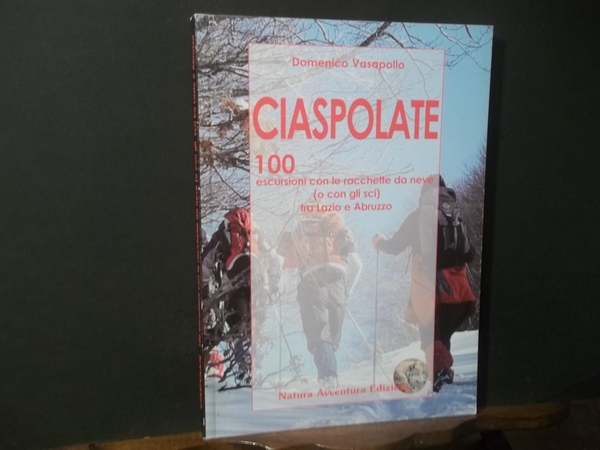 CIASPOLATE 100 ESCURSIONI CON LE RACCHETTE DA NEVE O CON …