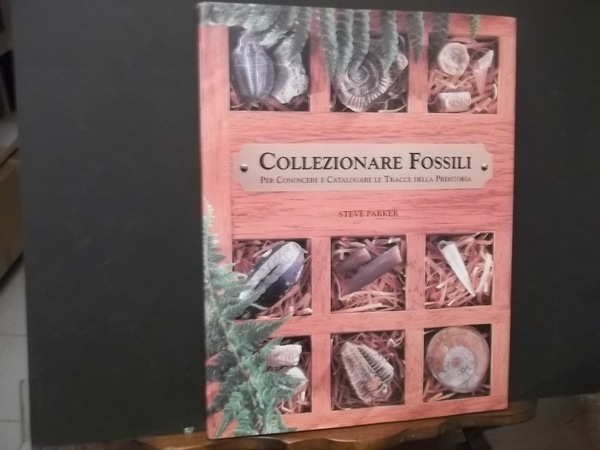 COLLEZIONARE FOSSILI