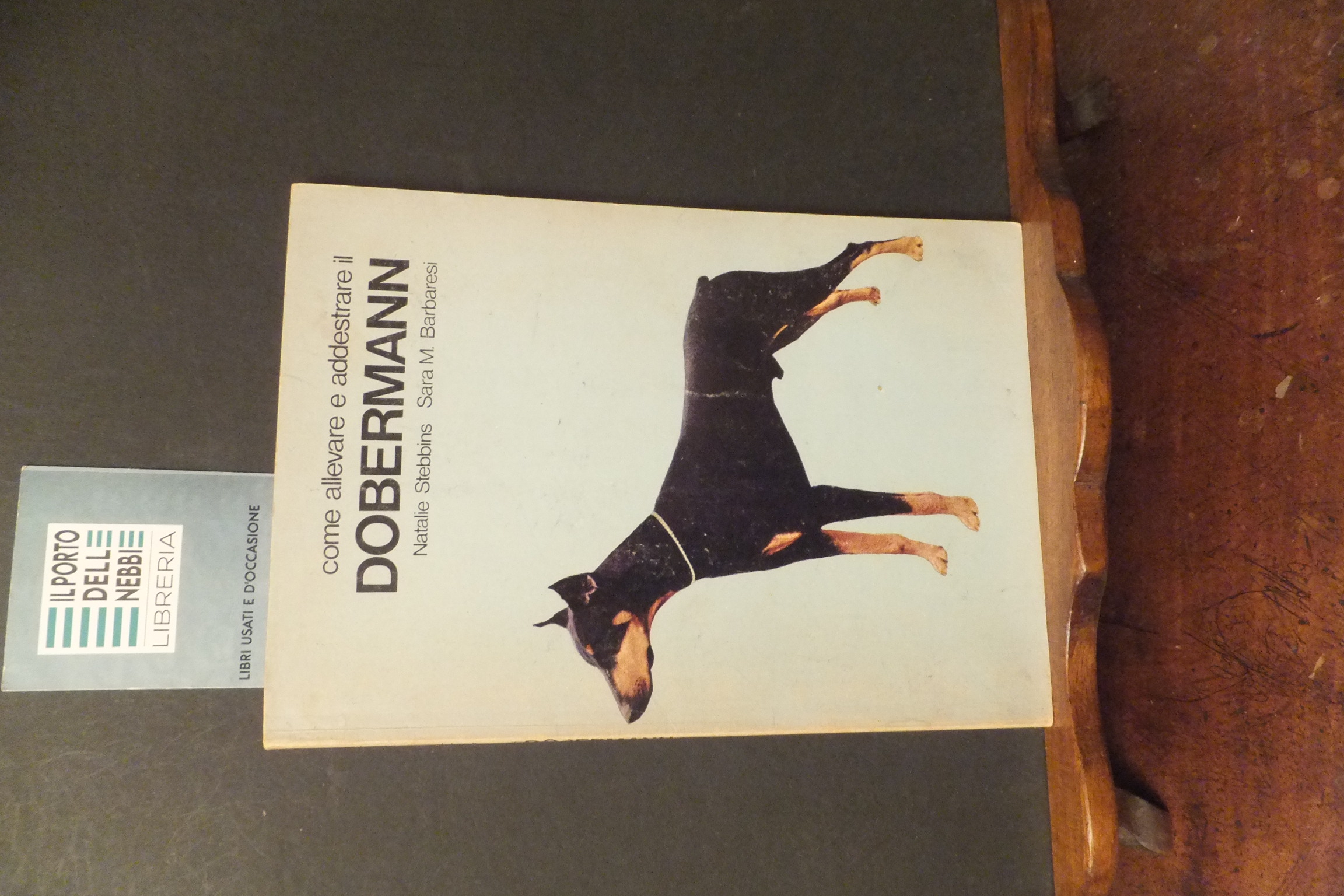 COME ALLEVARE E ADDESTRARE IL DOBERMANN