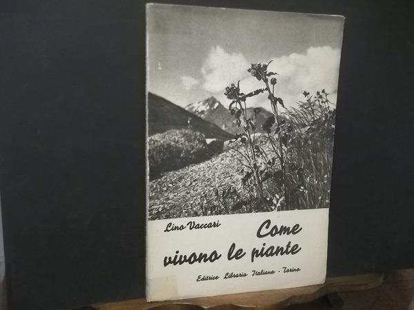 COME VIVONO LE PIANTE