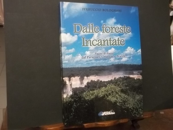 DALLE FORESTE INCANTATE PAGINE DI DIARIO DAL PARAGUAY URUGUAY E …