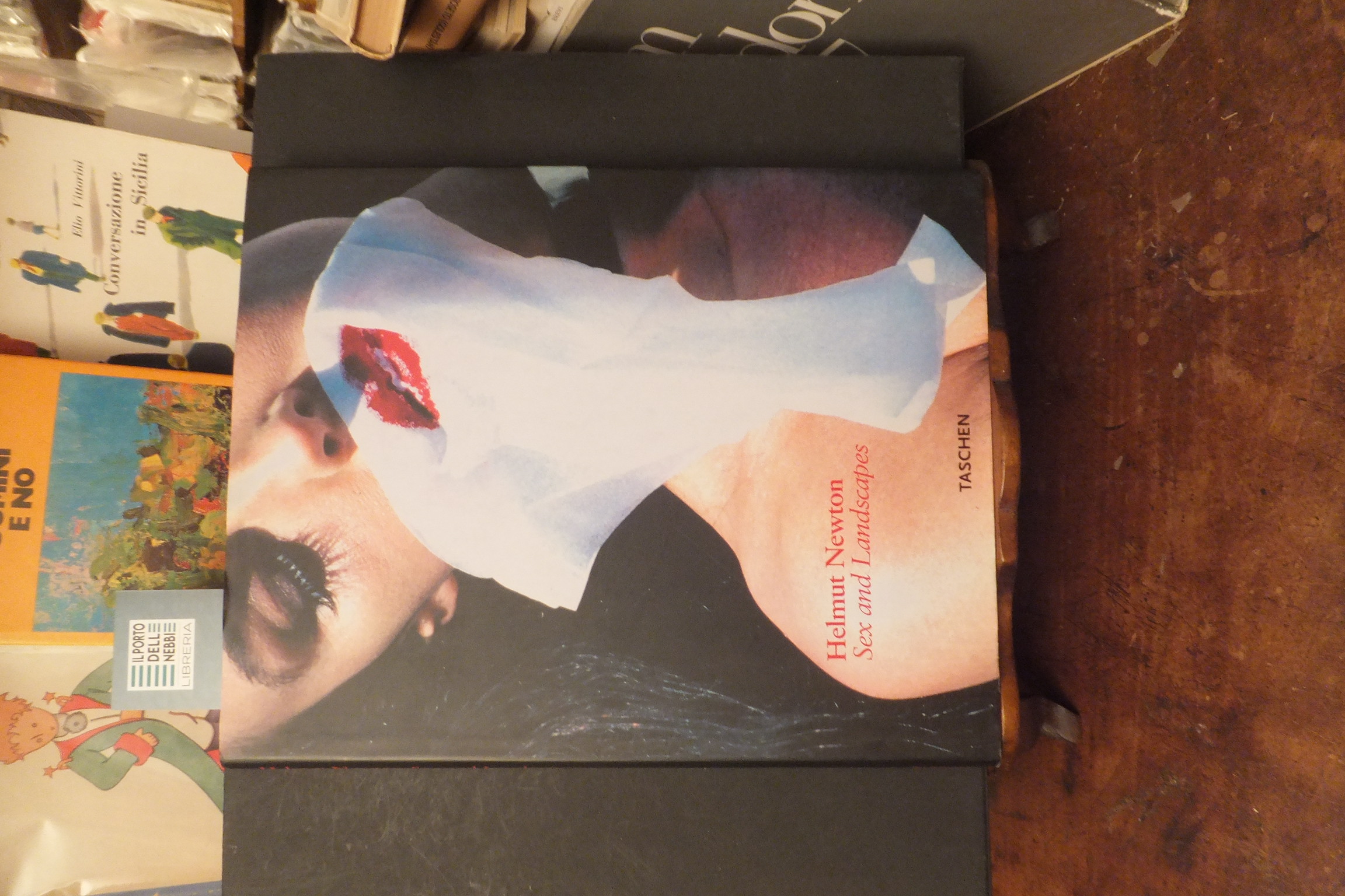 DEX AND LANDSCAPES HELMUT NEWTON