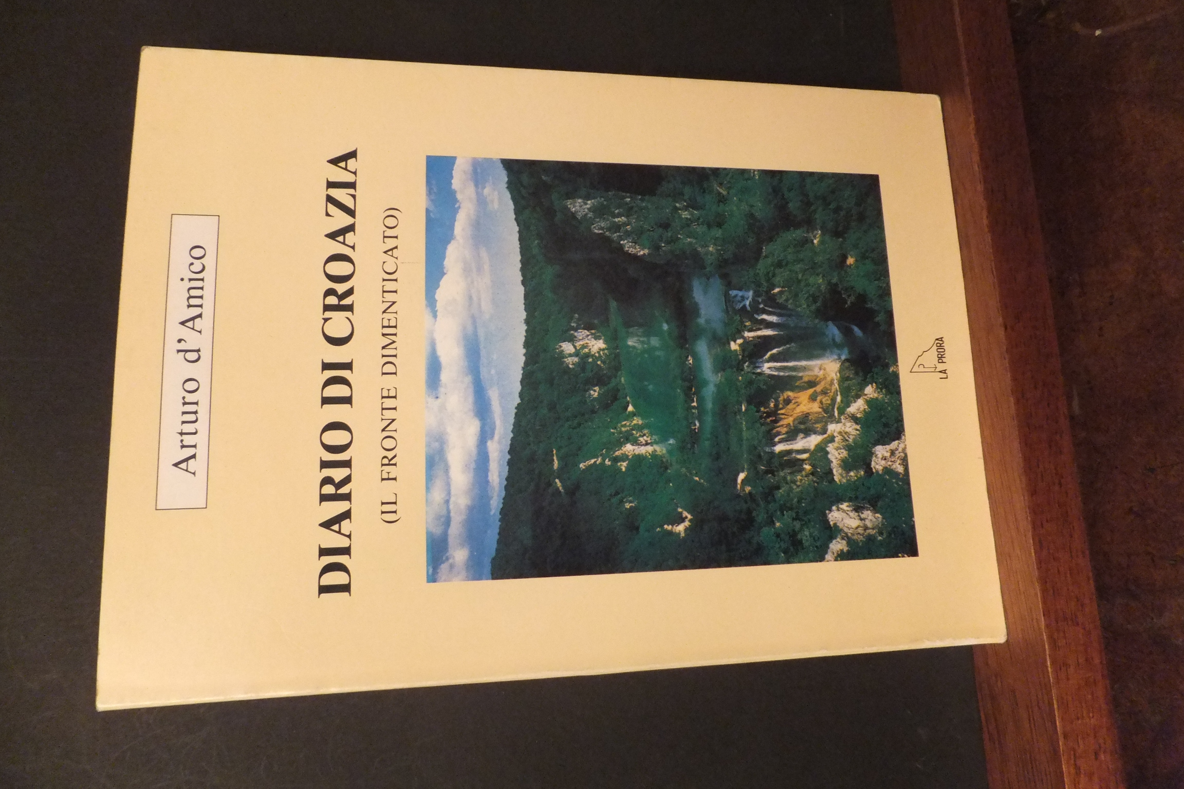 DIARIO DI CROAZIA IL FRONTE DIMENTICATO ARTURO D'AMICO