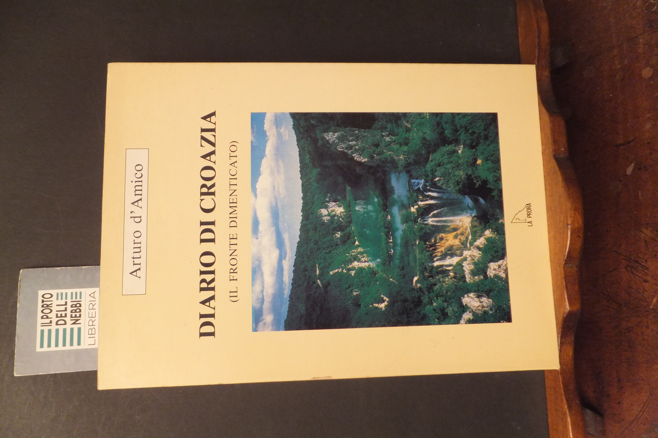 DIARIO DI CROAZIA IL FRONTE DIMENTICATO ARTURO D'AMICO