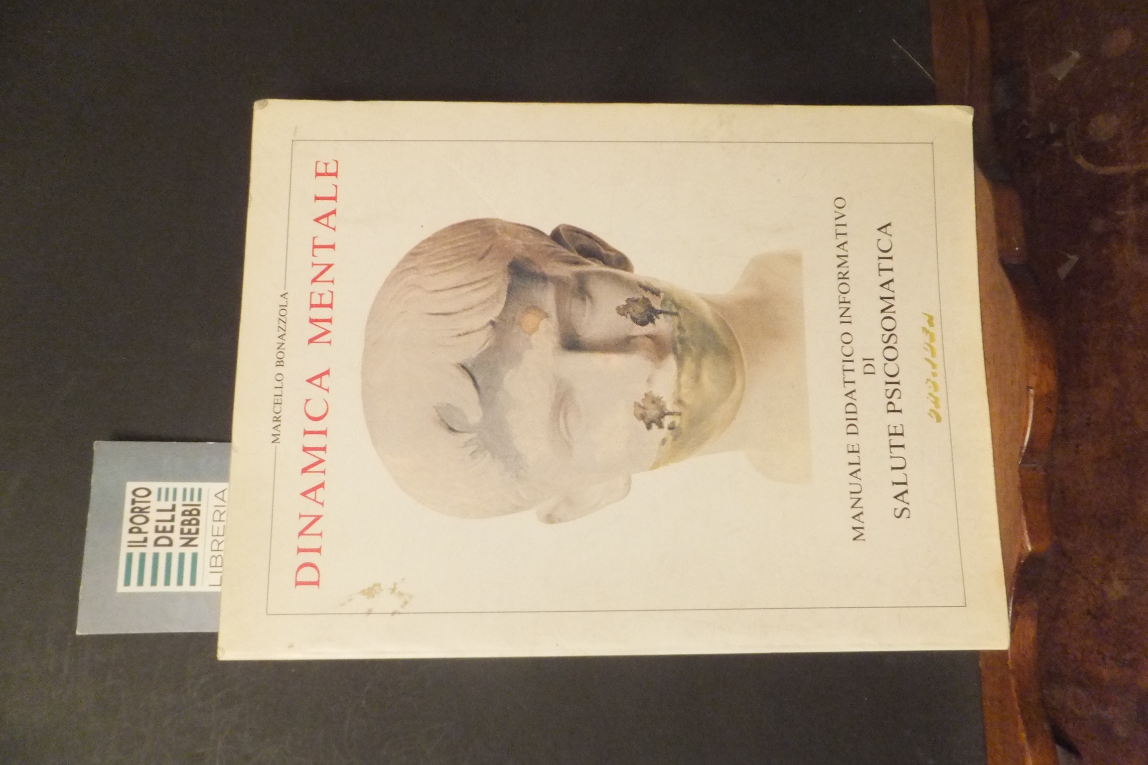 DINAMICA MENTALE MANUALE DIDATTICO INFORMATIVO DI SALUTE PSICOSOMATICA MARCELLO BONAZZOLA