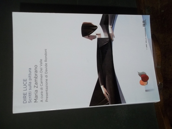 DIRE LUCE SCRITTI SULLA PITTURA