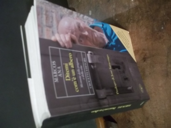 DITEMI COM'E' UN ALBERO MEMORIE DELLA PRIGIONE E DELLA VITA