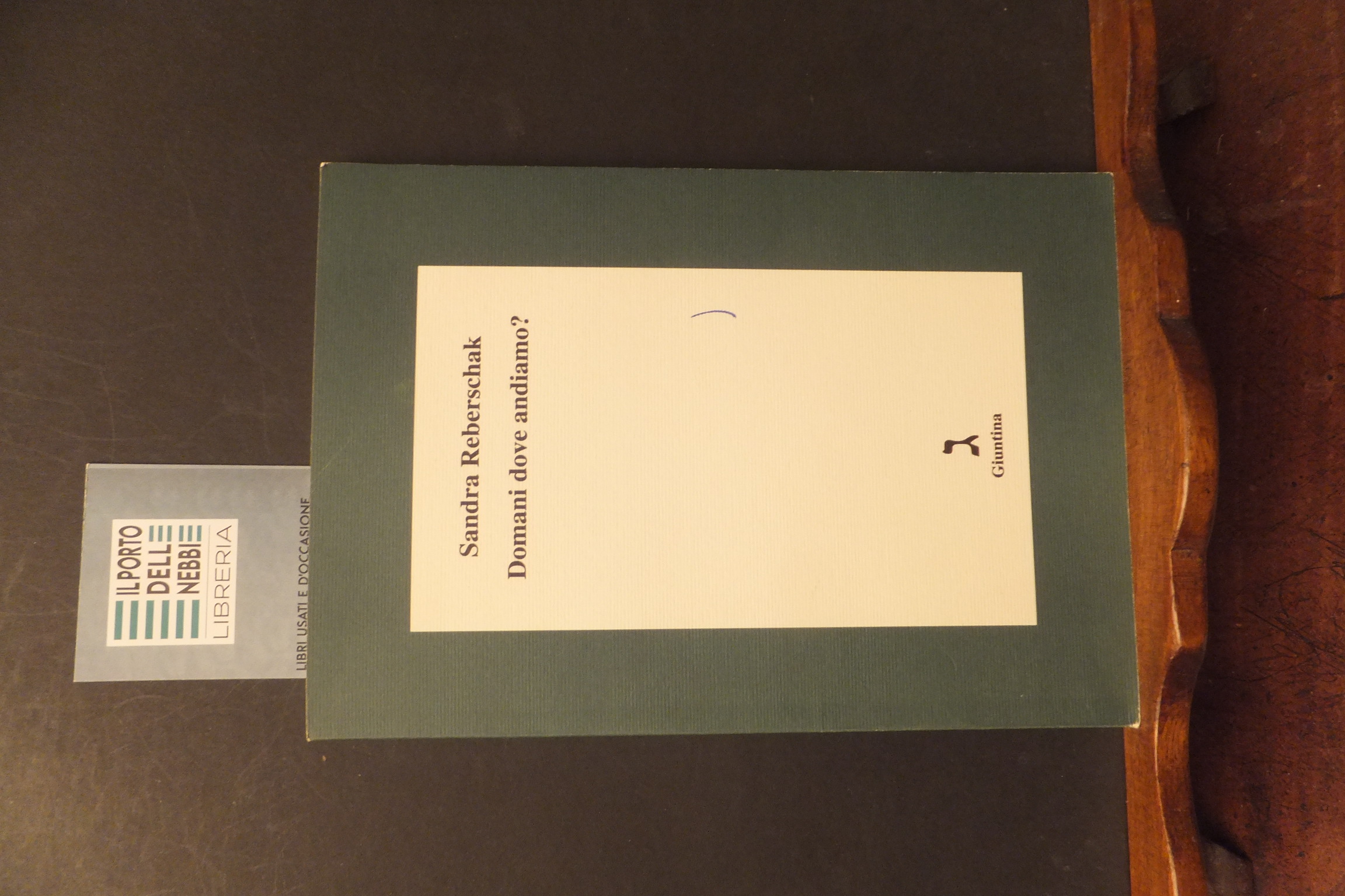 DOMANI DOVE ANDIAMO? SANDRA REBERSCHAK