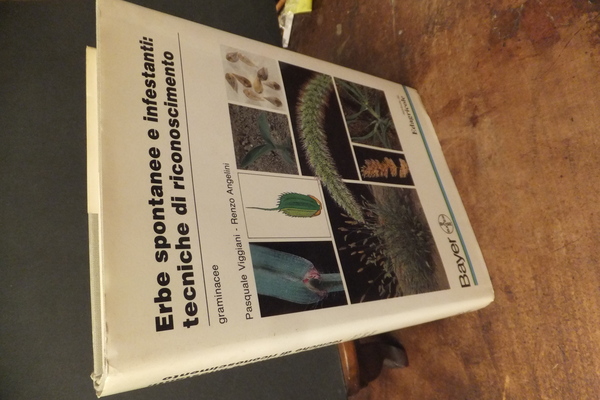 ERBE SPONTANEE E INFESTANTI TECNICHE DI RICONOSCIMENTO - GRAMINACEE