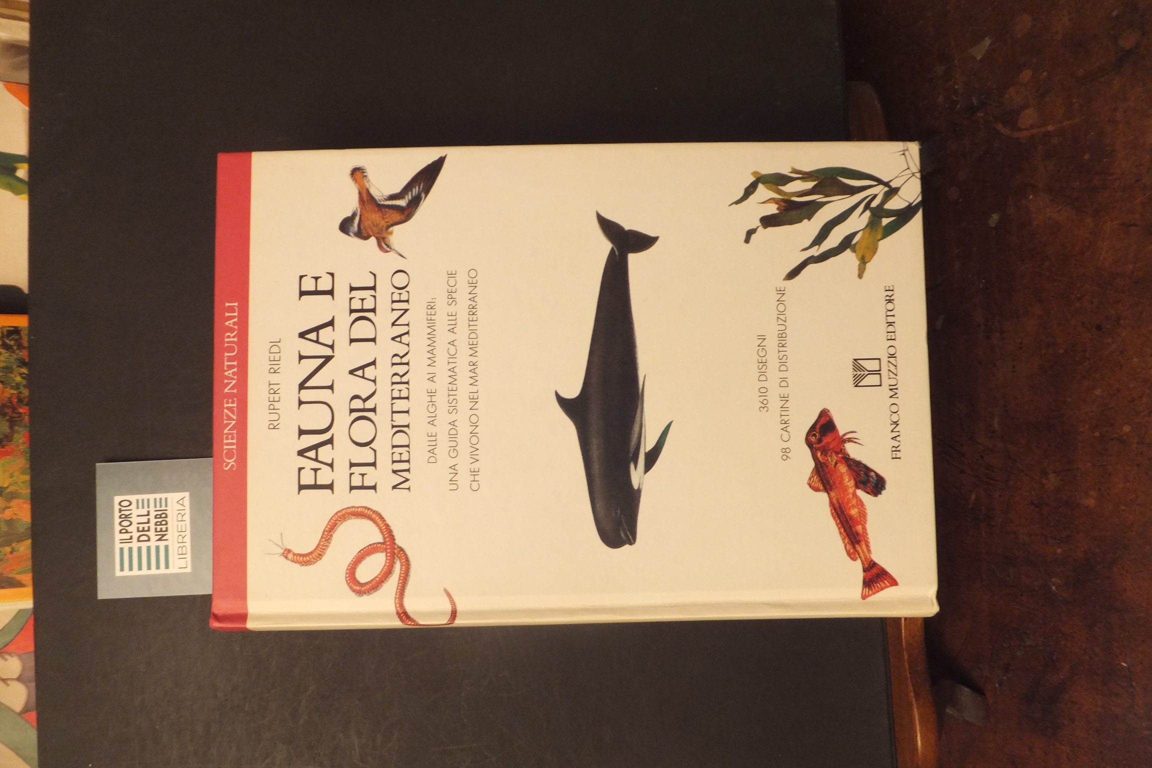 FAUNA E FLORA DEL MEDITERRANEO RUPERT RIEDI