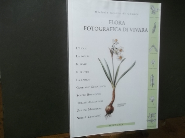 FLORA FOTOGRAFICA DI VIVARA