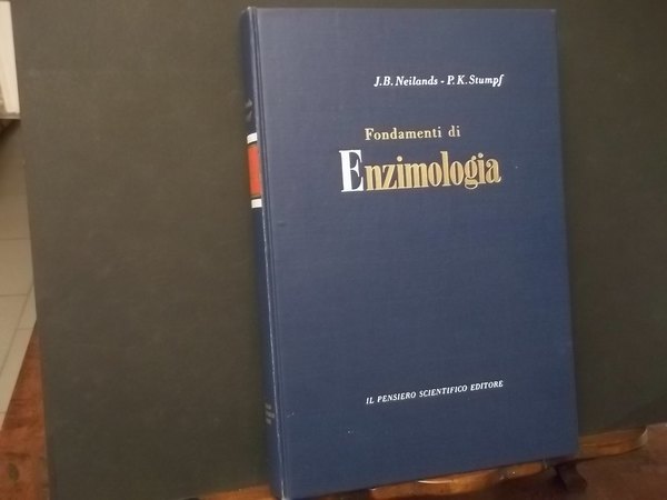 FONDAMENTI DI EZIMOLOGIA