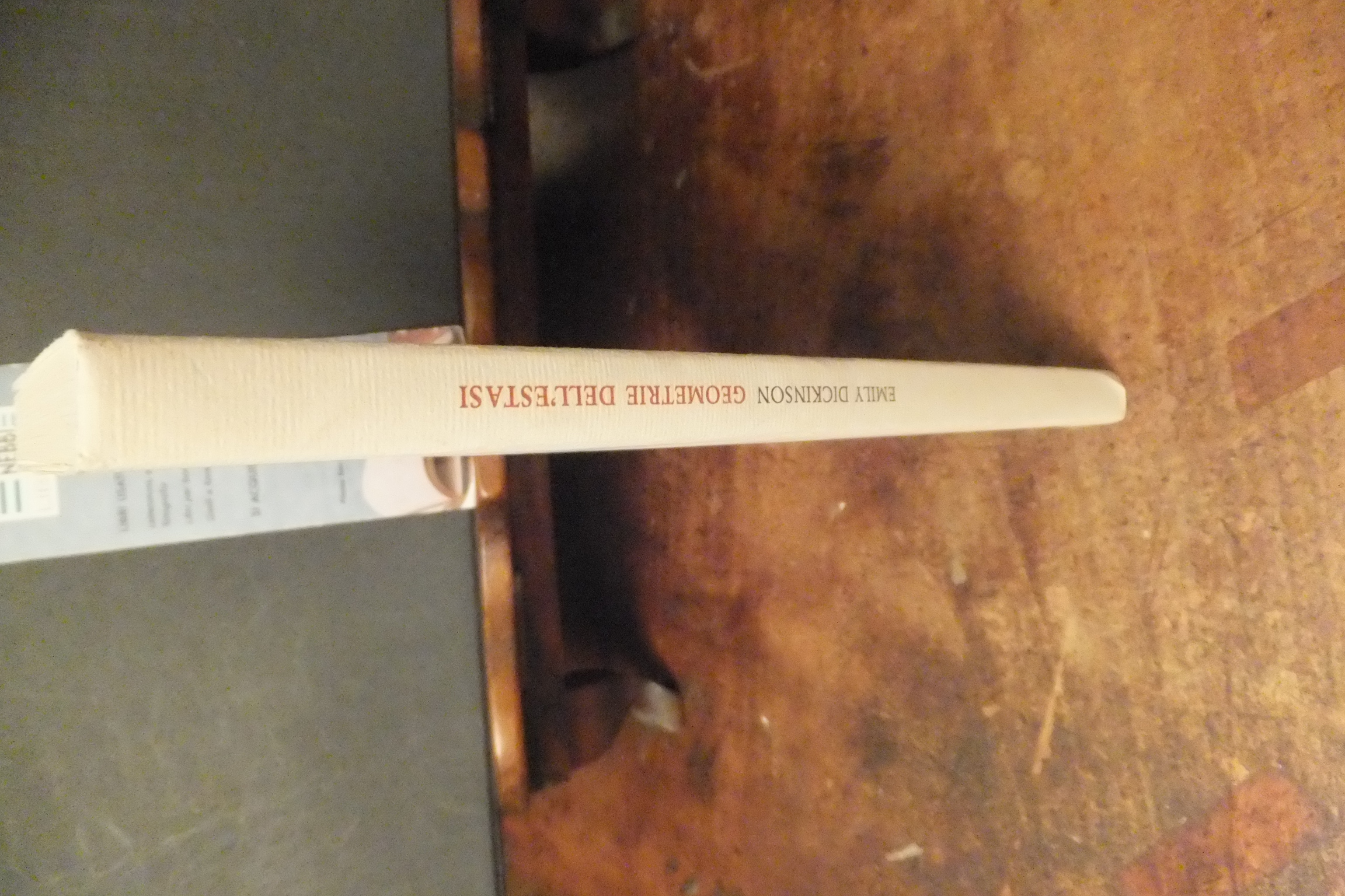 GEOMETRIE DELL'ESTASI EMILY DICKINSON