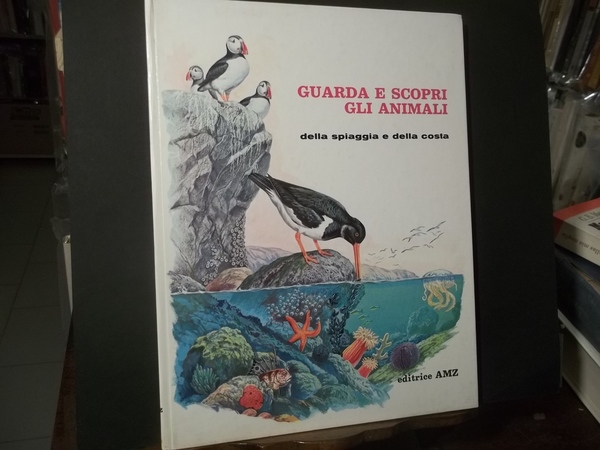 GUARDA E SCOPRI GLI ANIMALE DALLA SPIAGGIA E DALLA COSTA