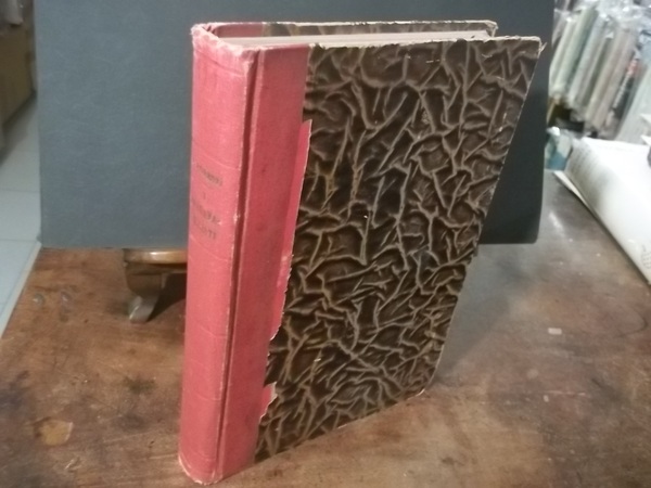 I PRERAFAELLISTI CONTRIBUTO ALLA STORIA DELL'ARTE