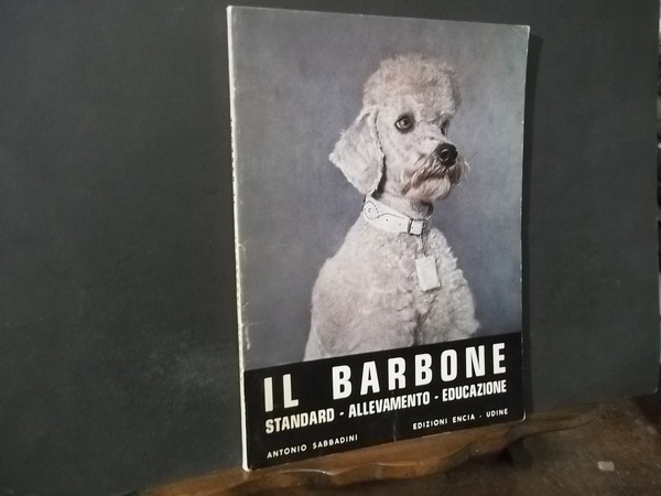 IL BARBONE STANDARD - ALLEVAMENTO - EDUCAZIONE