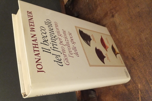 IL BECCO DEL FRINGUELLO GIORNO PER GIORNO L'EVOLUZIONE DELLA SPECIE