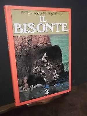 IL BISONTE