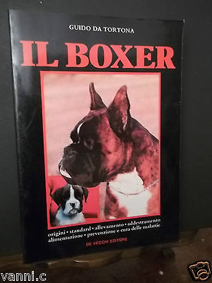 IL BOXER