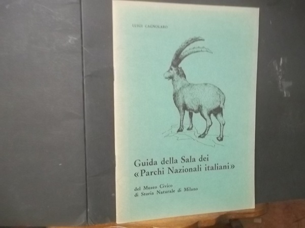 IL COLLE DI PIONA-OLGIASCA NELLA STORIA L'ABBAZIA BENEDETTINA E LA …