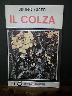 IL COLZA