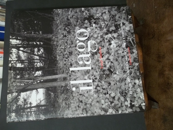 IL LAGO IL LAGO DI VARESE FRA STORIA CULTURA E …