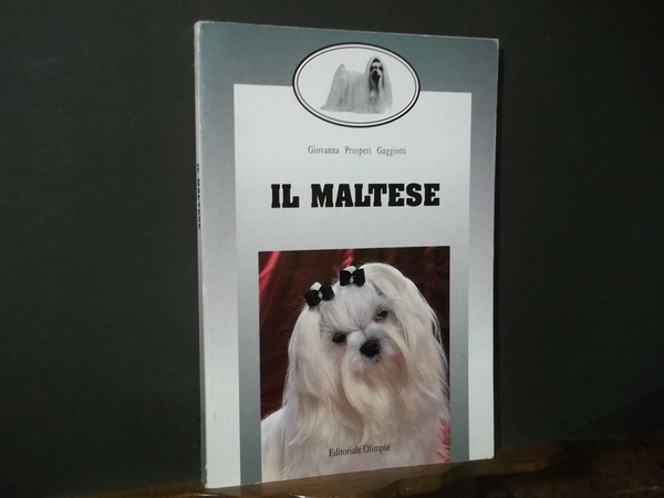 IL MALTESE