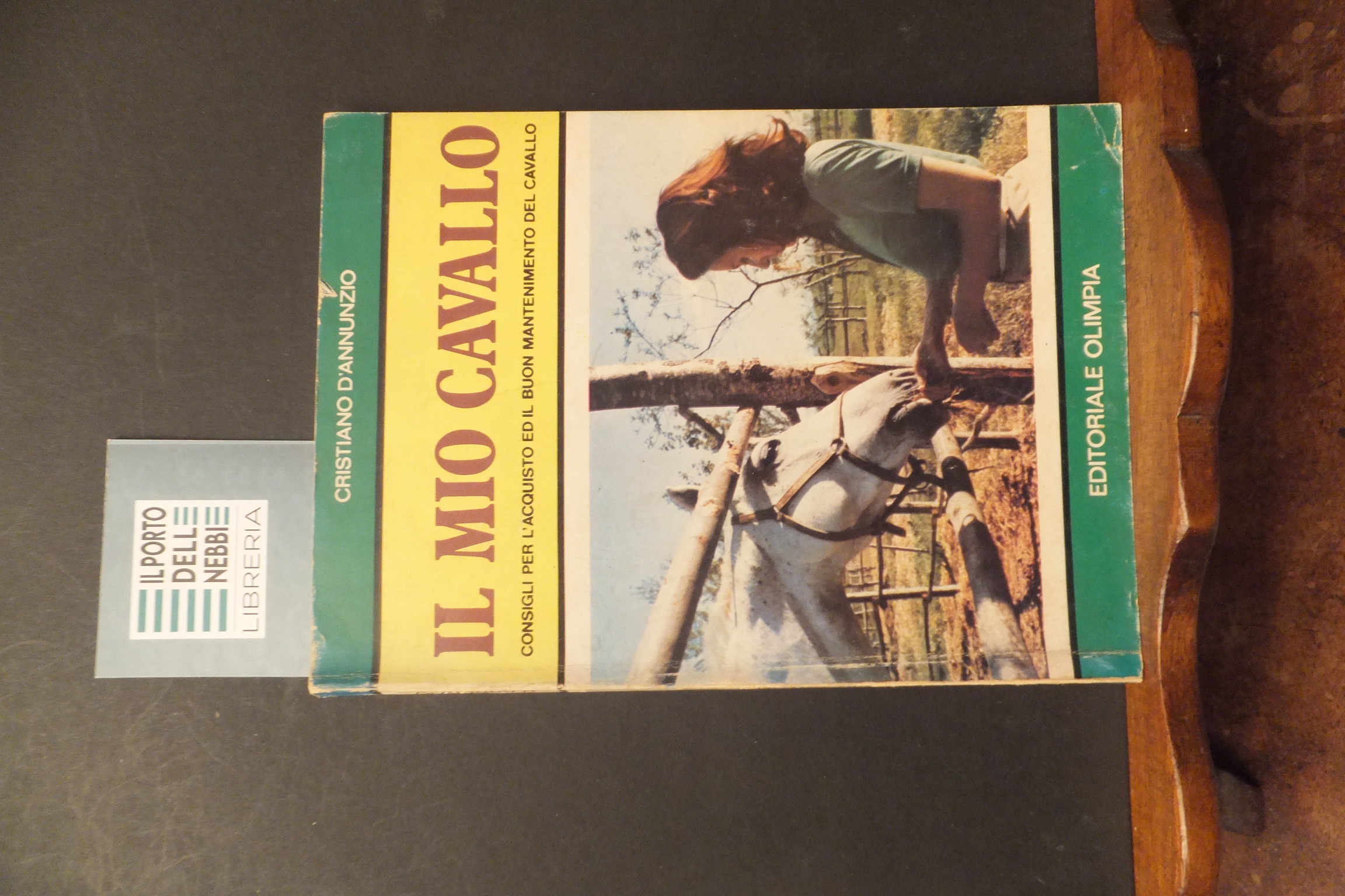 IL MIO CAVALLO CRISTIANO D'ANNUNZIO