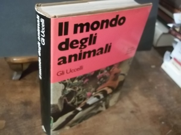 IL MONDO DEGLI ANIMALI GLI UCCELLI