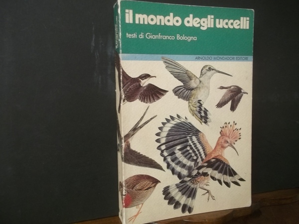 IL MONDO DEGLI UCCELLI