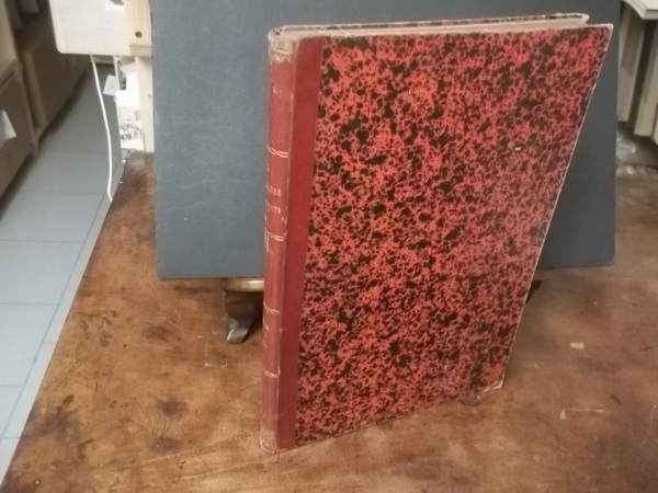 IL NOVELLIERE ILLUSTRATO 1891 ANNO II